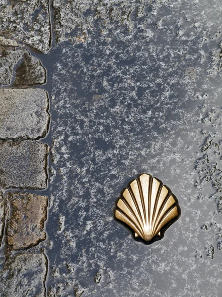 Symbol of the camino de santiago — Stock Photo, Image