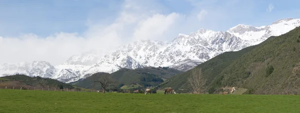 Snowy landscape of the Picos de Europa — Stock Photo, Image