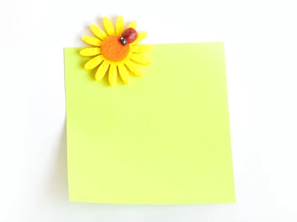 Note de papier avec broche fleur et coccinelle — Photo