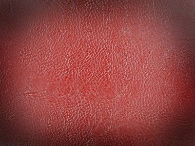 kırmızı deri