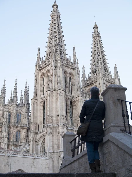 Kathedrale von Burgos — Stockfoto