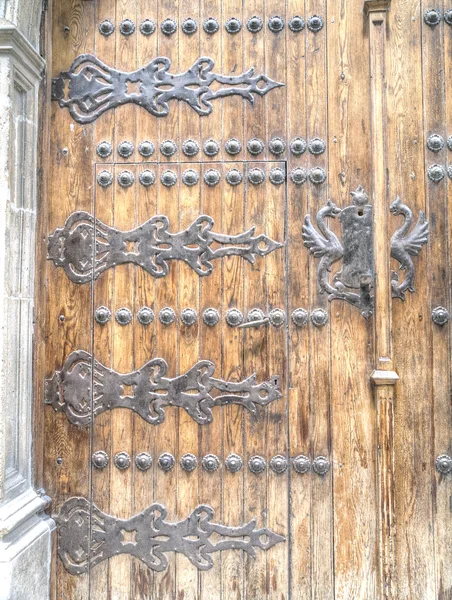 Ortaçağ kapısı — Stok fotoğraf