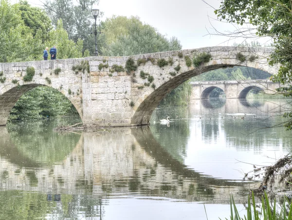 Rivier carrion in palencia — Stockfoto