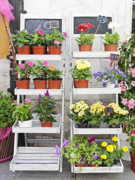 Mercado de flores — Foto de Stock