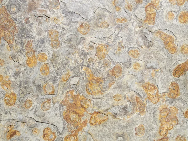 Stone texture — Stock Photo, Image