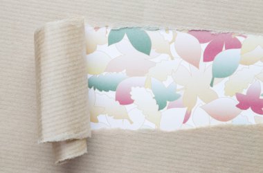 Oluklu kağıt ile parçalanmış