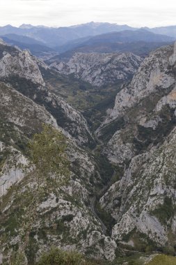 Picos de europa bakış açısı