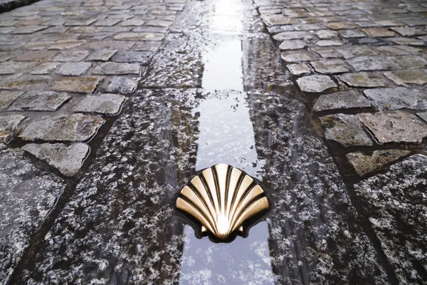 Symbol of the camino de santiago — Stock Photo, Image