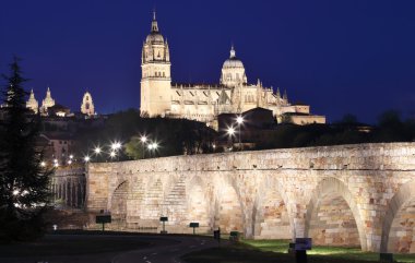  Salamanca Katedrali giden köprü