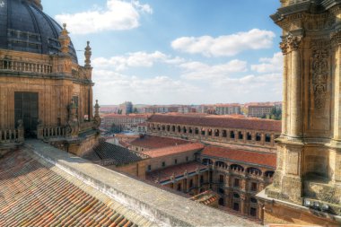 Katedrali (catedral nueva), eski şehir salamanca, İspanya.