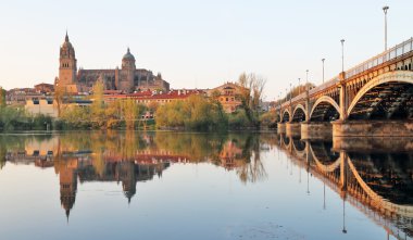 Salamanca over Tormes river and Cathedral, Spain  clipart