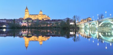 Salamanca cathedral gece manzarası