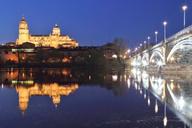 Salamanca cathedral gece manzarası