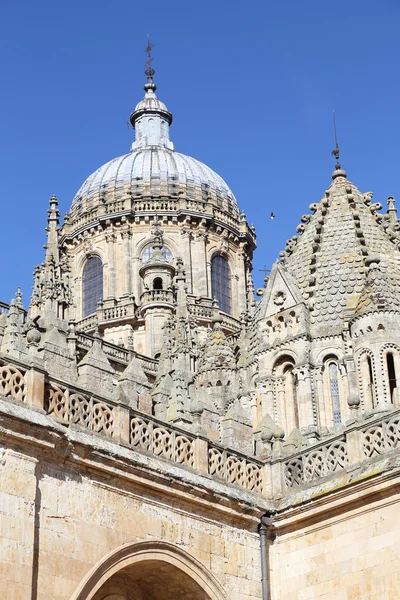 Catedral Nueva, Ciudad Vieja de Salamanca, España . —  Fotos de Stock