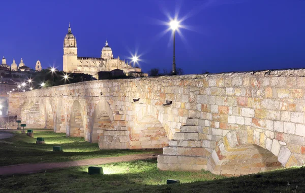 Puente que conduce a la Catedral de Salamanca —  Fotos de Stock