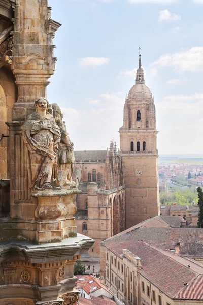 Katedrali (catedral nueva), eski şehir salamanca, İspanya. — Stok fotoğraf