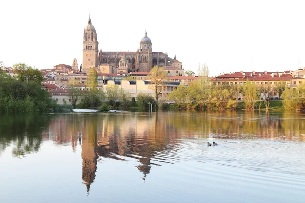 Salamanca sobre el río Tormes y la Catedral, España — Foto de Stock