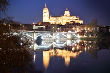 Salamanca cathedral gece manzarası