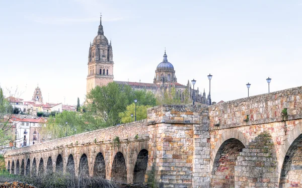 Ponte que conduz à Catedral de Salamanca — Fotografia de Stock