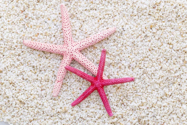 Starfish pe plajă — Fotografie, imagine de stoc