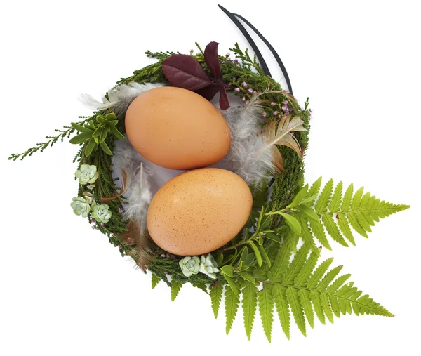 Easter nest with two eggs and feathers — Stock Photo, Image