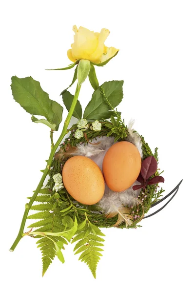 Easter nest with two eggs and feathers — Stock Photo, Image