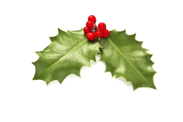 Holly leaves and berries isolated on white background — Stock Photo, Image