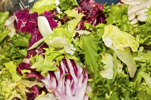 Closeup of mixed salad lettuce — Stock Photo, Image