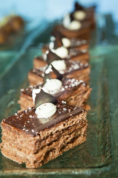 Ряд маленьких шоколадных бисквитов на тарелке — стоковое фото