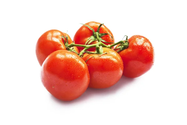 Close-up van wijnstokken tomaten geïsoleerd op wit — Stockfoto