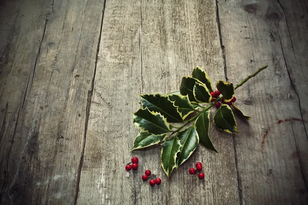 Twig of holly tree lying on old wooden floor — Stock Photo, Image