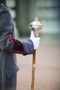 Royal bandmaster holding regiment staff clipart