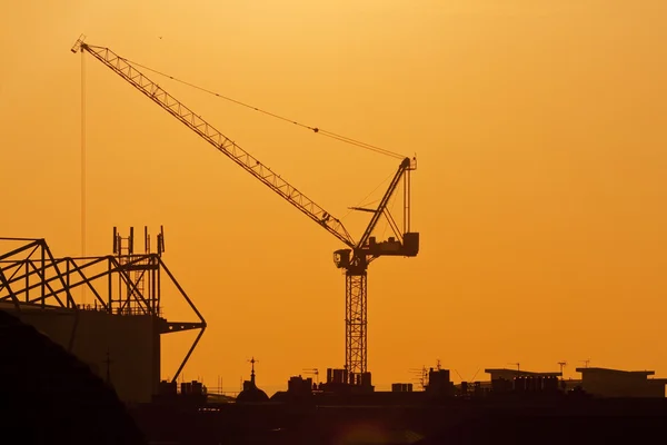 Crane on a sunset background — Stock Photo, Image