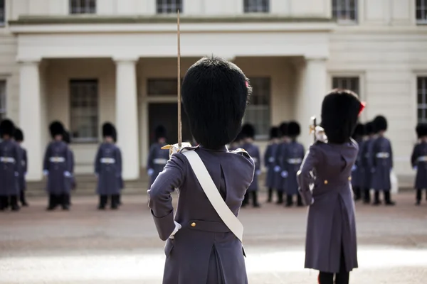 Guardias granaderos vistiendo abrigo de invierno —  Fotos de Stock