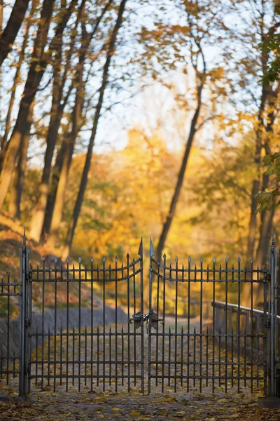 Shut iron spiked gates — Stock Photo, Image