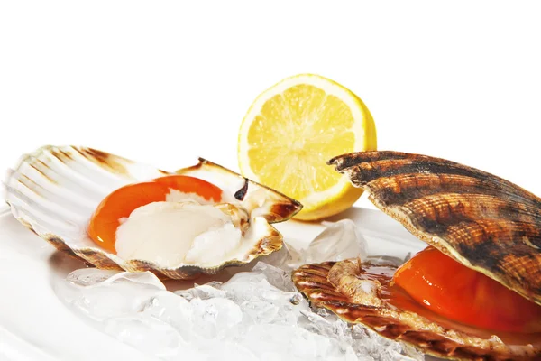 Isolated on white fresh scallops with lemon — Stock Photo, Image
