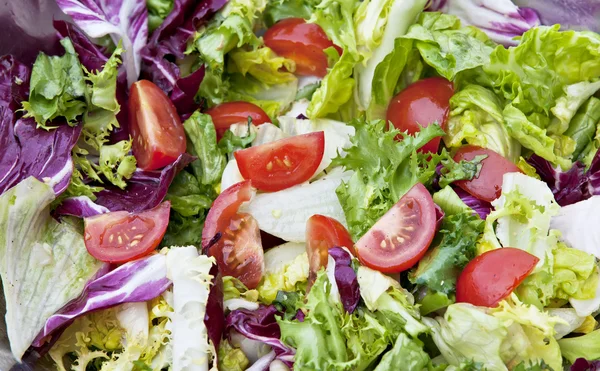 Closeup of mixed lettuce salad — Stock Photo, Image