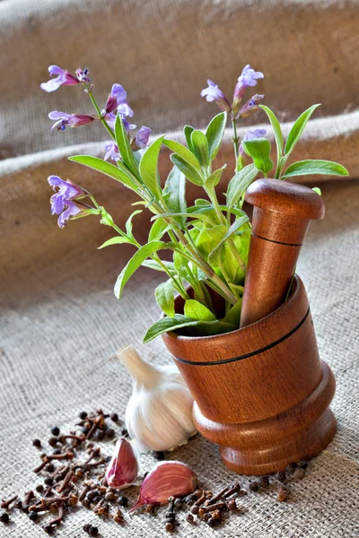 Sage in wooden mortar, garlic, pepper and cloves on sackcloth — Stock Photo, Image