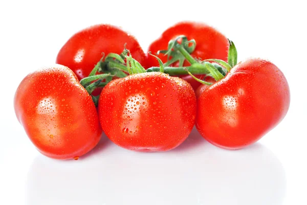 Primo piano di pomodori di vite isolati su bianco — Foto Stock