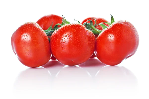 Closeup de tomates de videira isolados em branco — Fotografia de Stock