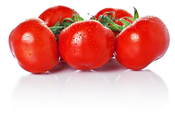 Close-up van wijnstokken tomaten geïsoleerd op wit — Stockfoto