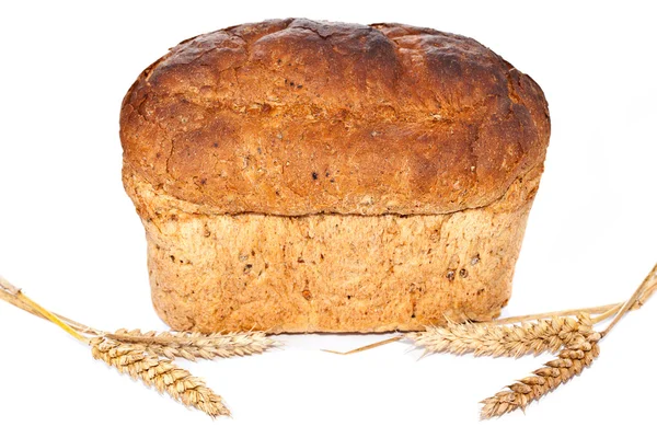 布朗面包 — 图库照片