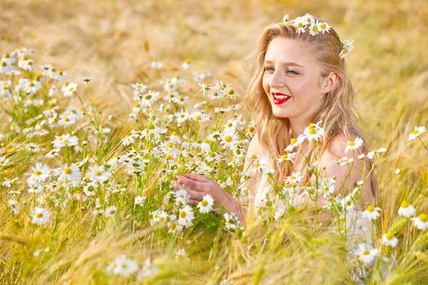 Blond tjej på fältet camomile — Stockfoto