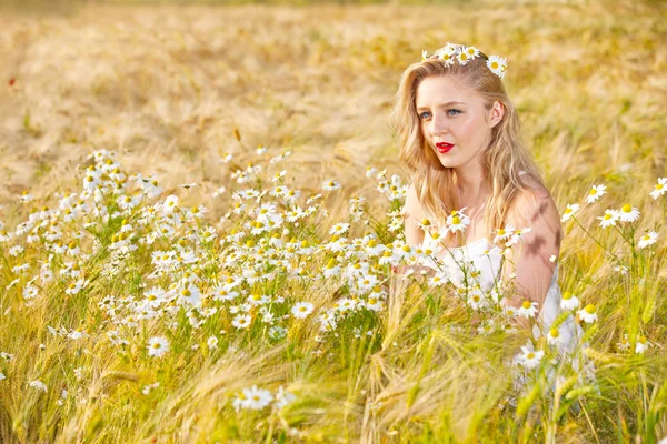 Blond tjej på fältet camomile — Stockfoto