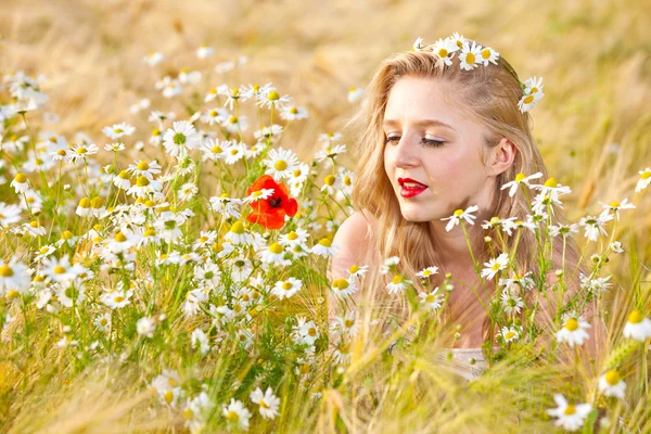 Blond tjej på fältet camomile — Stockfoto