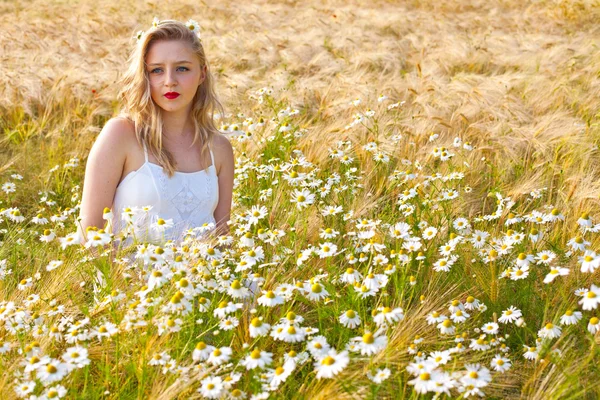 Ragazza bionda sul campo di camomilla — Foto Stock