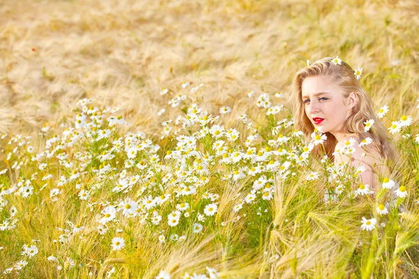 Blond girl on the camomile field — Stock Photo, Image