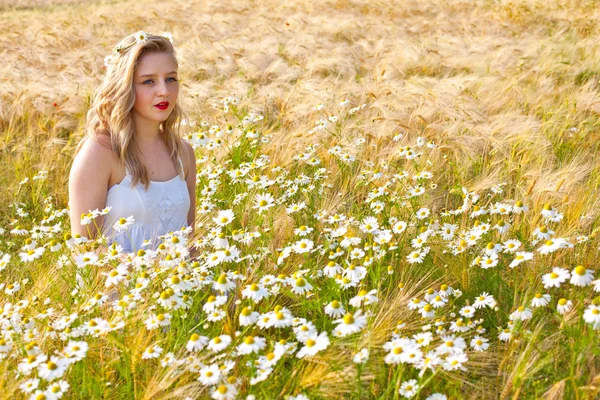 Blond girl on the camomile field — Stock Photo, Image