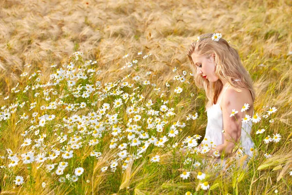 Ragazza bionda sul campo di camomilla — Foto Stock