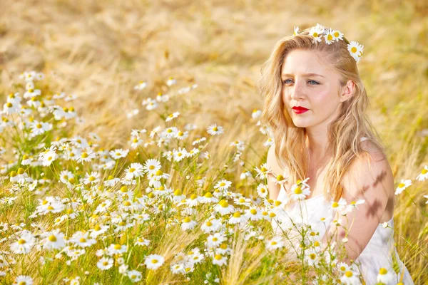 Blond tjej på fältet camomile — Stockfoto